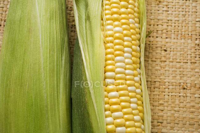 Two corn cobs with husks — Stock Photo