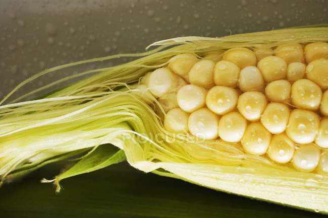 Costela de milho com cascas — Fotografia de Stock