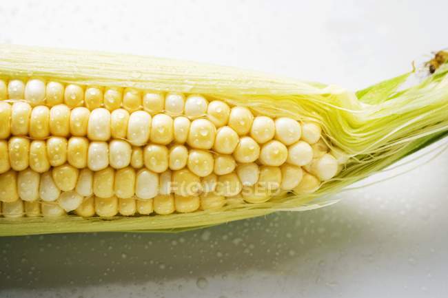 Corn cob with husks — Stock Photo