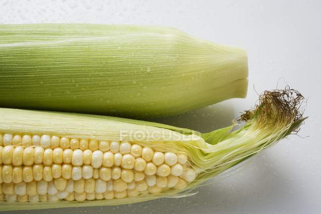 Duas espigas de milho com cascas — Fotografia de Stock