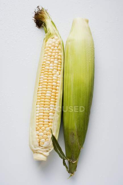 Дві кукурудзяні цицьки з лушпинками — стокове фото