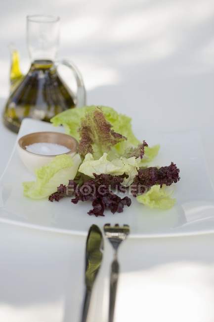Folhas de salada mistas no prato — Fotografia de Stock