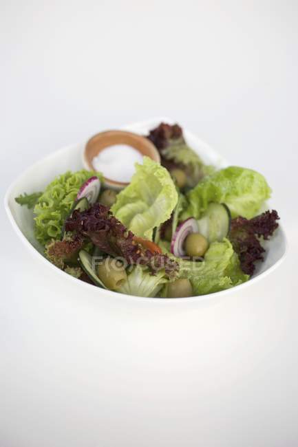 Салат листья с огурцом — стоковое фото