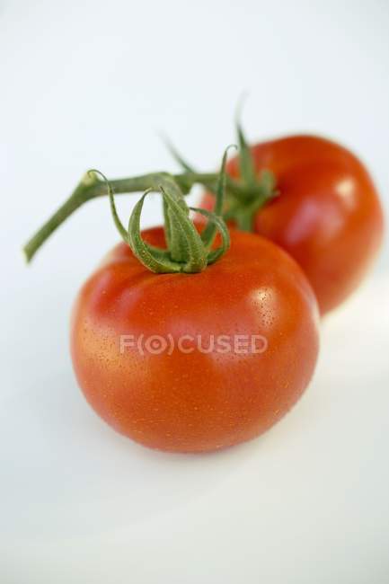 Two red tomatoes — Stock Photo