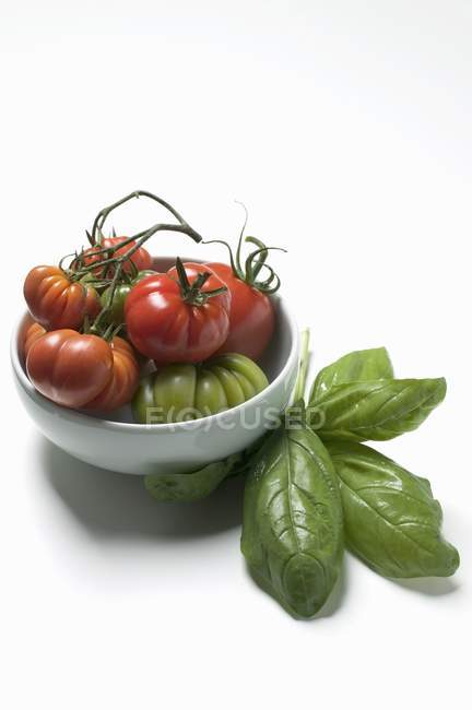 Tomates rojos y verdes de bistec - foto de stock