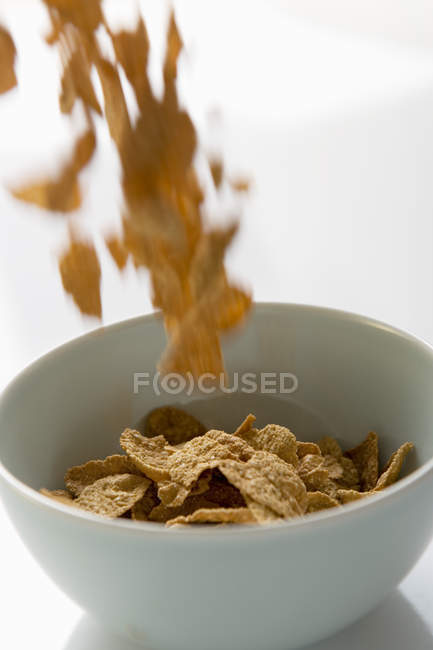 Copos de cereales que caen - foto de stock