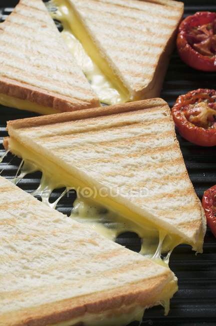 Sanduíches de queijo torrado — Fotografia de Stock