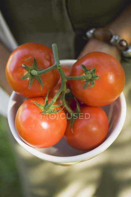 Mão segurando tomates frescos — Fotografia de Stock