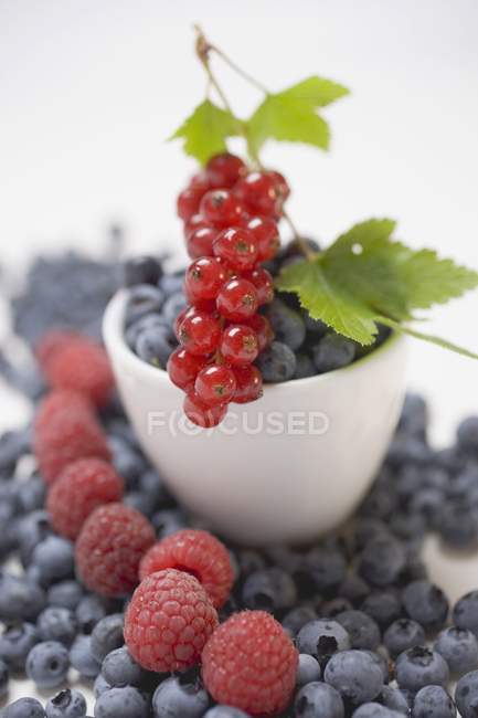 Fresh ripe redcurrants and berries — Stock Photo