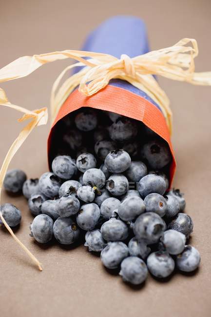 Fresh blueberries in paper bag — Stock Photo