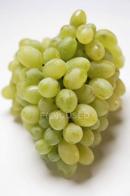 Bunch of green grape — Stock Photo