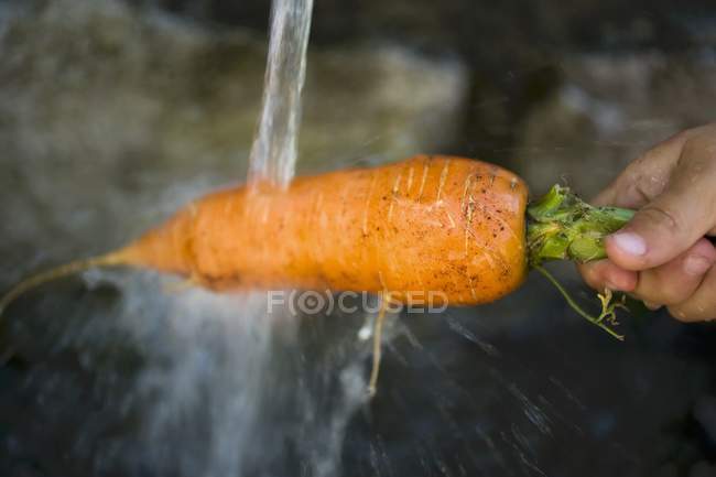 Child holding carrot under water — Stock Photo