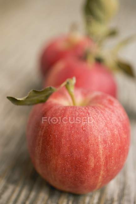 Three Gala apples with leaves — Stock Photo