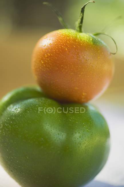 Tomates verdes y naranjas - foto de stock