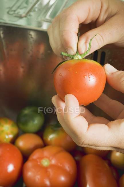 Hands removing stalk from tomato — Stock Photo