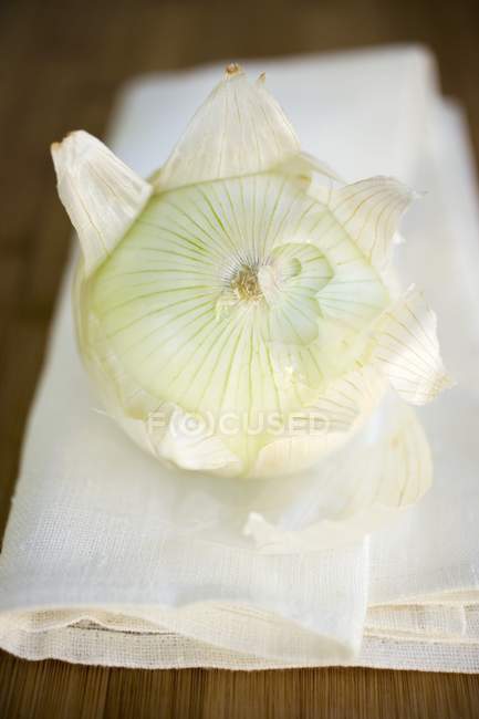 Onion on linen cloth — Stock Photo