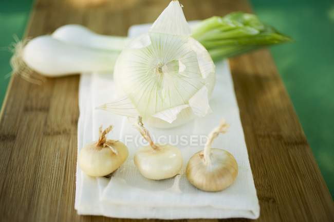 Vari tipi di cipolle — Foto stock