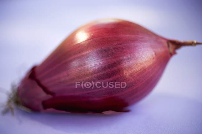 Cebolla roja sin cáscara - foto de stock