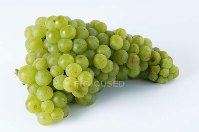 Bunch of Muskateller green grape — Stock Photo