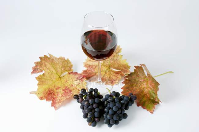 Glass of red wine and black grapes — Stock Photo