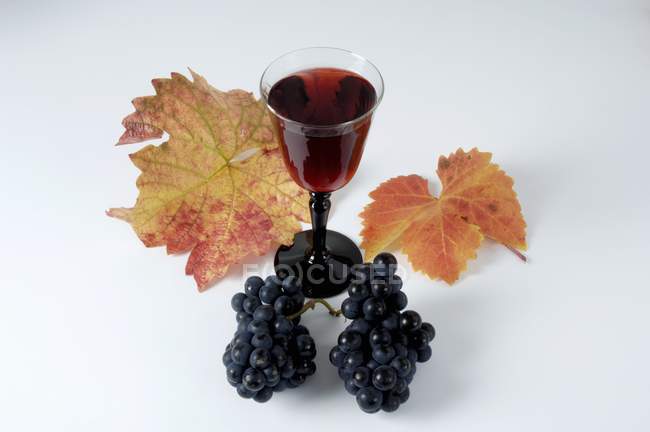 Glas Rotwein und schwarze Trauben — Stockfoto
