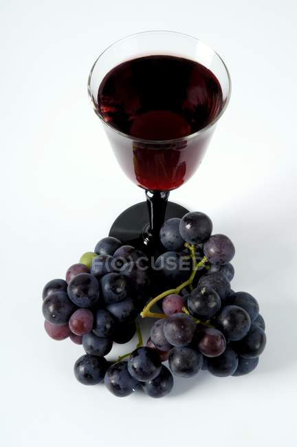 Copa de vino tinto y uvas negras - foto de stock