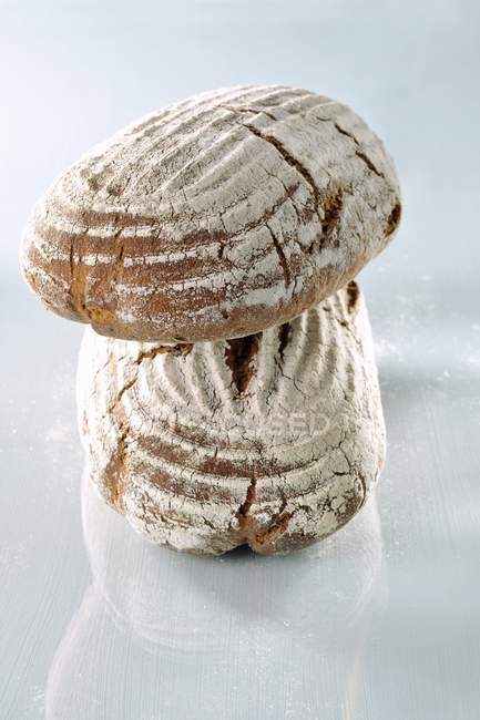 Pani di pane appena sfornato — Foto stock