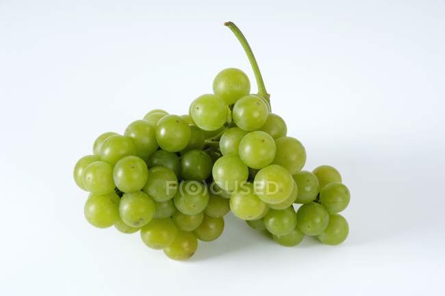 Frische reife grüne Trauben — Stockfoto