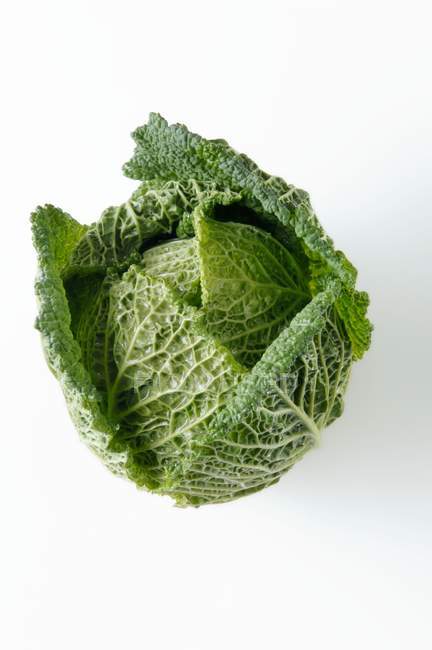 Green savoy cabbage — Stock Photo