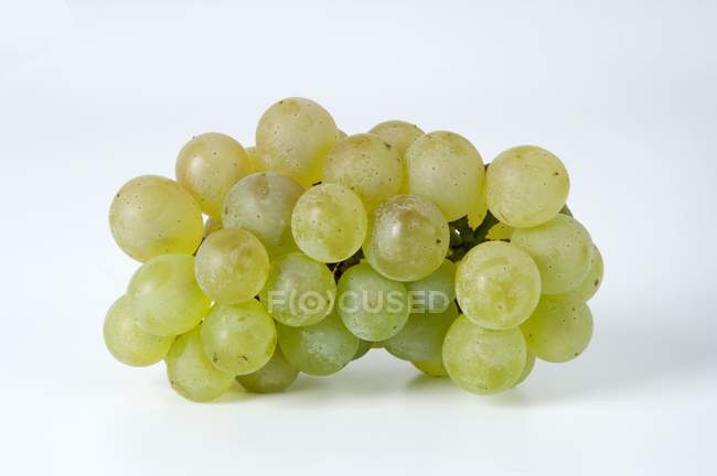 Fresh ripe green grapes — Stock Photo