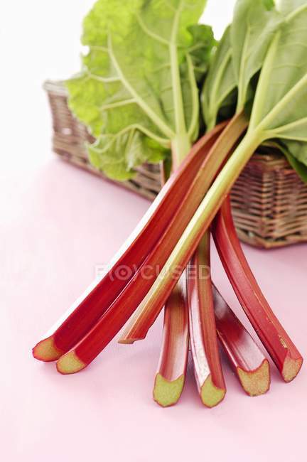 Fresh Rhubarb stalks — Stock Photo