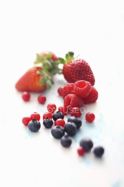Fruits frais d'été mélangés — Photo de stock