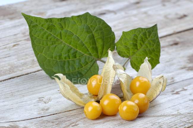 Cape gooseberries with leaves — Stock Photo