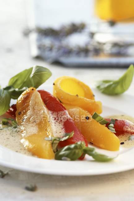 Paprika-Salat mit Basilikum auf weißem Teller — Stockfoto