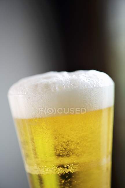 Cerveza ligera en vidrio - foto de stock