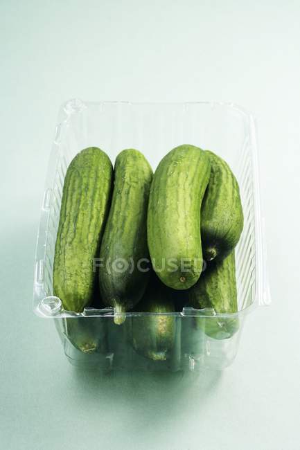 Pepinos em recipiente de plástico — Fotografia de Stock