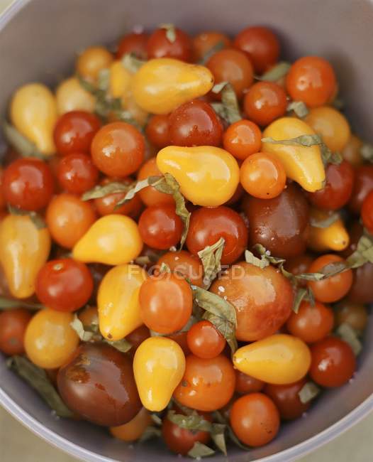Tomatensalat mit Basilikum — Stockfoto