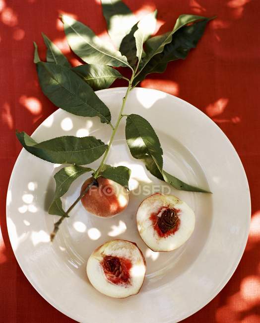 Крупный план целых и наполовину органических белых персиков с веткой — стоковое фото