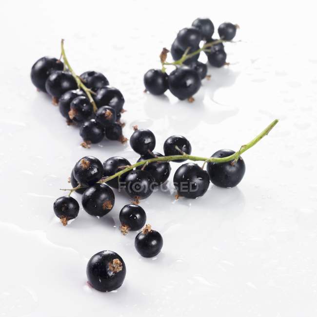 Bunches of fresh ripe blackcurrants — Stock Photo