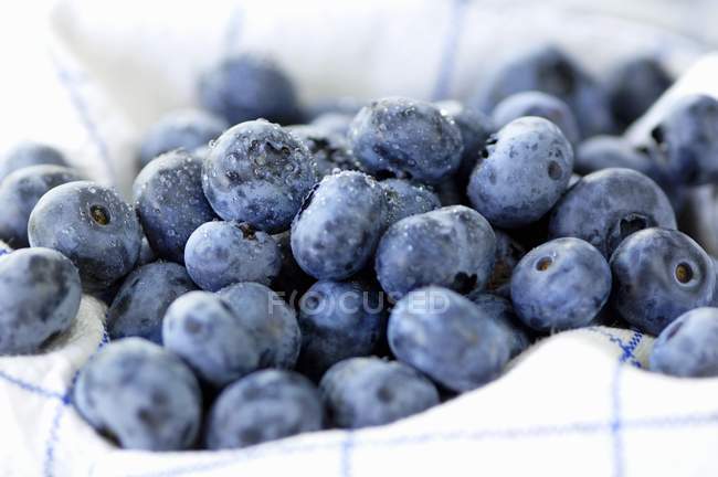 Freshly washed blueberries — Stock Photo