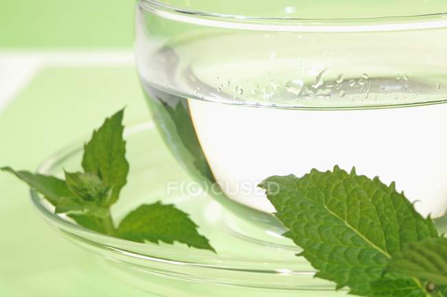Thé à la menthe poivrée en tasse de verre — Photo de stock