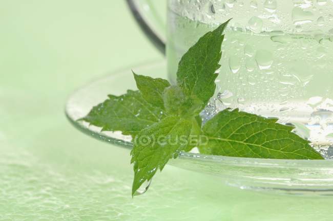 Peppermint tea in glass cup — Stock Photo