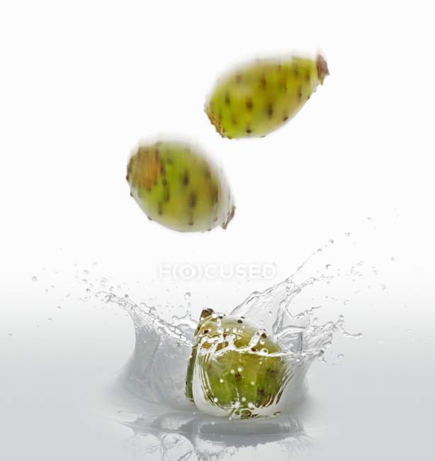 Figos de cacto caindo na água — Fotografia de Stock
