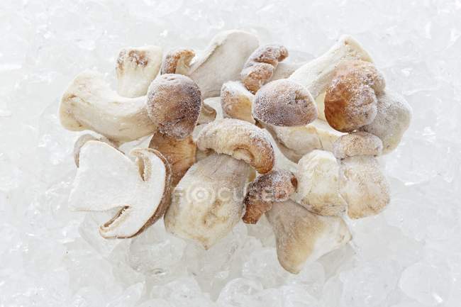 Frozen porcini mushrooms — Stock Photo