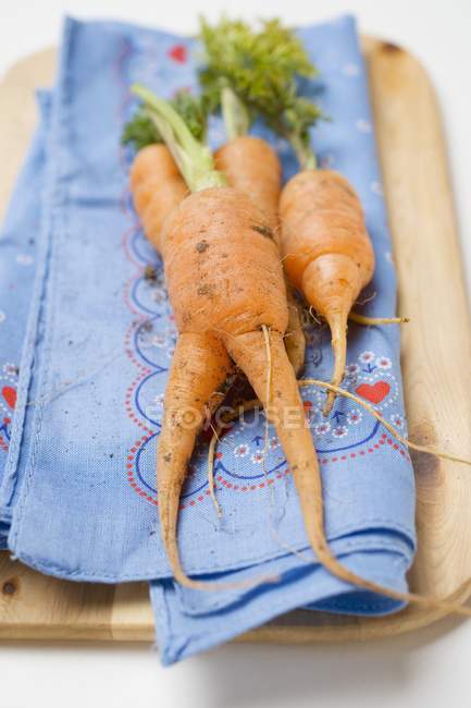 Young carrots on coloured fabric — Stock Photo