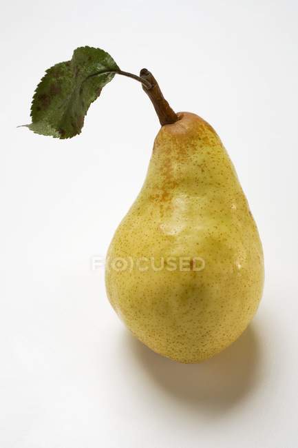 Williams pear with leaf — Stock Photo