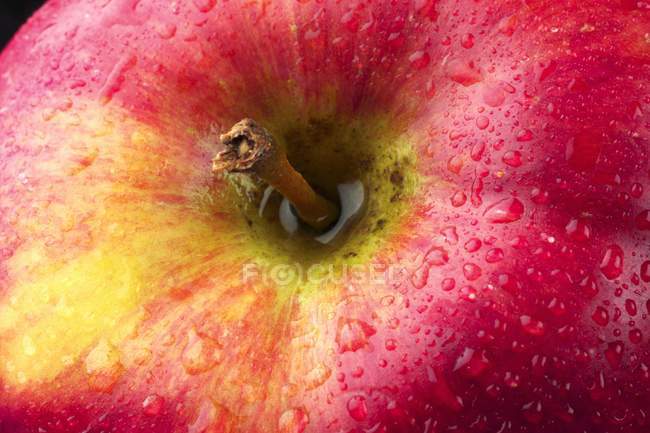 Dame rose pomme — Photo de stock