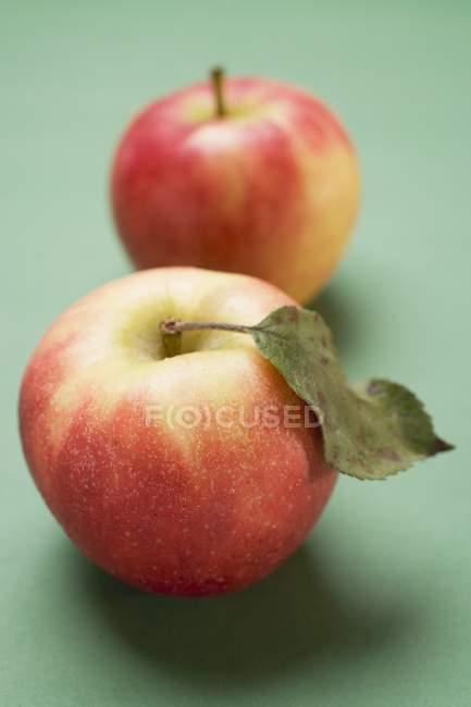 Два Elstar яблука — стокове фото