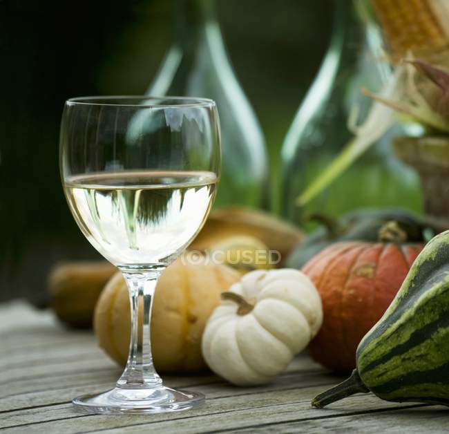 Bicchiere di vino bianco e zucche — Foto stock