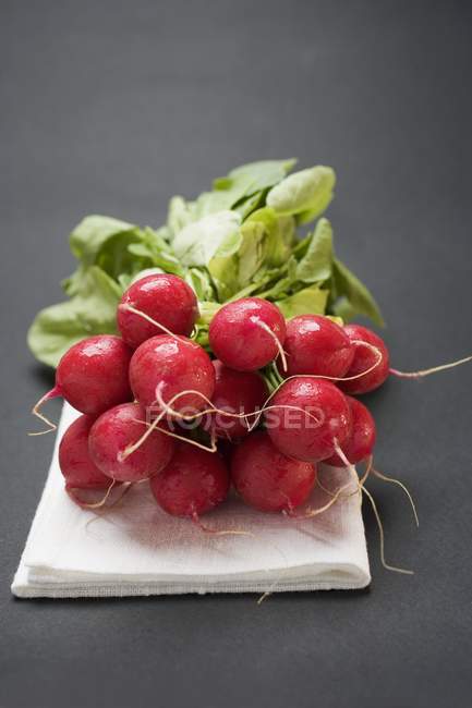 Bouquet de radis frais cueillis — Photo de stock